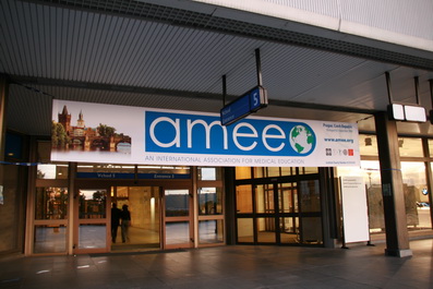 AMEE2008-3